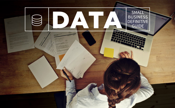 Data: Small Business Definitive Guide