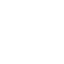 globe icon