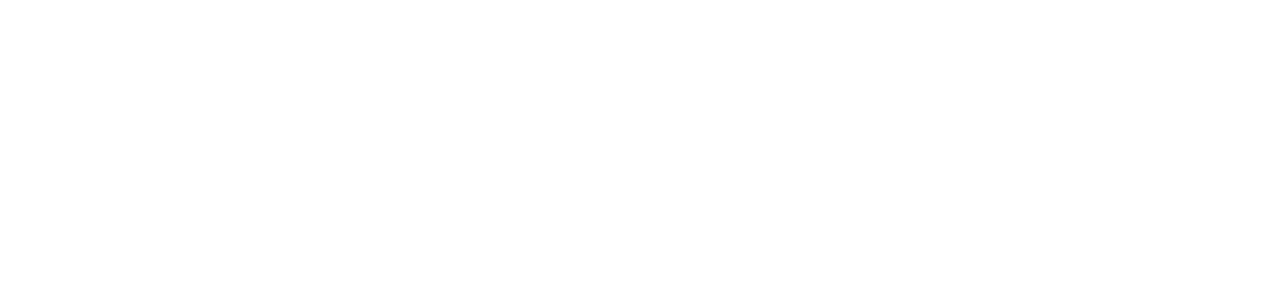 shoppertrak logo